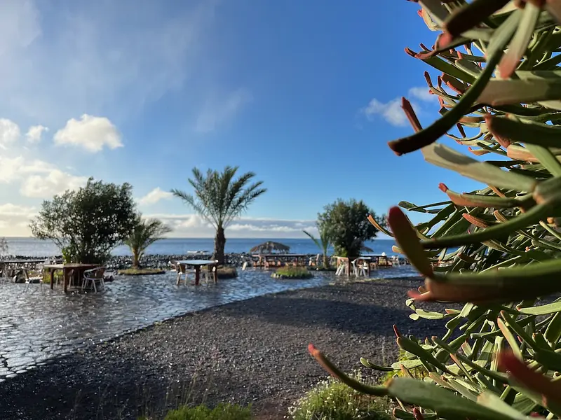 Yoga Woche am Meer auf La Gomera im März 2026 