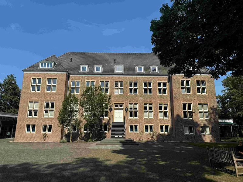 Faszination Faszien - Mit basischer Ernährung zu mehr Leistungsfähigkeit und Wohlbefinden im Beruf