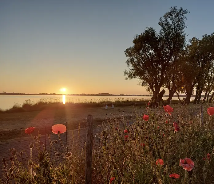 Bildschirmfoto 2023-11-16 um 16.57.24