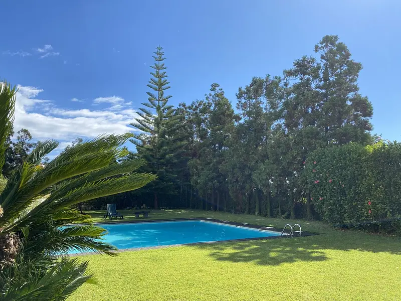 Design Thinking - Kreative Problemlösung |  Surfen, Wandern & Lernen auf den Azoren 