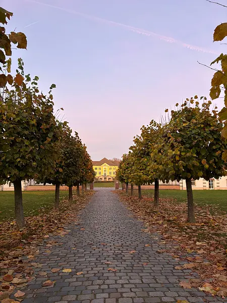 FIT UND GESUND IM BERUF in der Oberlausitz - Stark im Job – Gelassen im Leben, Resilienz, Stressbewältigung & Gesundheitsprävention im Beruf