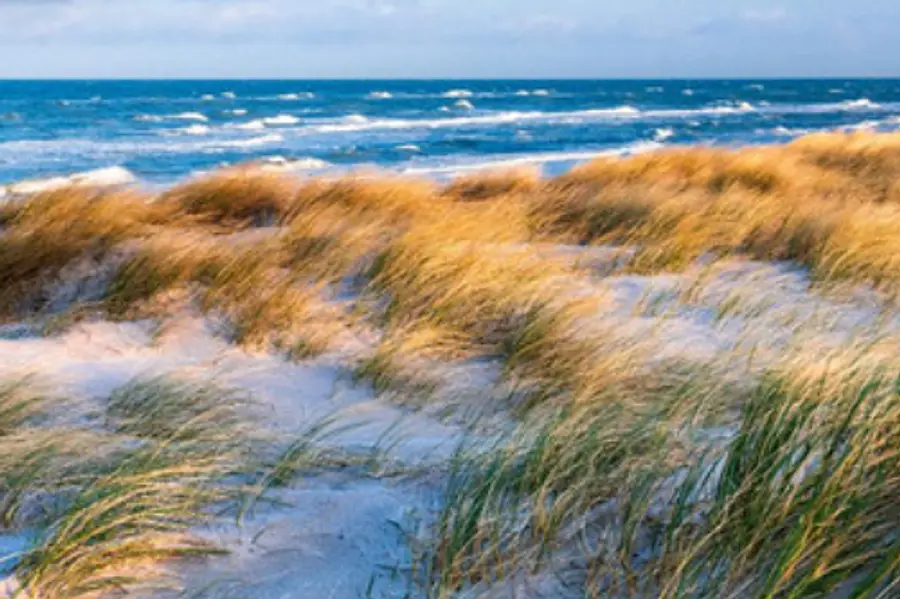 Stressbewältigung durch Achtsamkeit im Berufsalltag mit der MBSR Methode