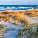 Stressbewältigung durch Achtsamkeit im Berufsalltag mit der MBSR Methode