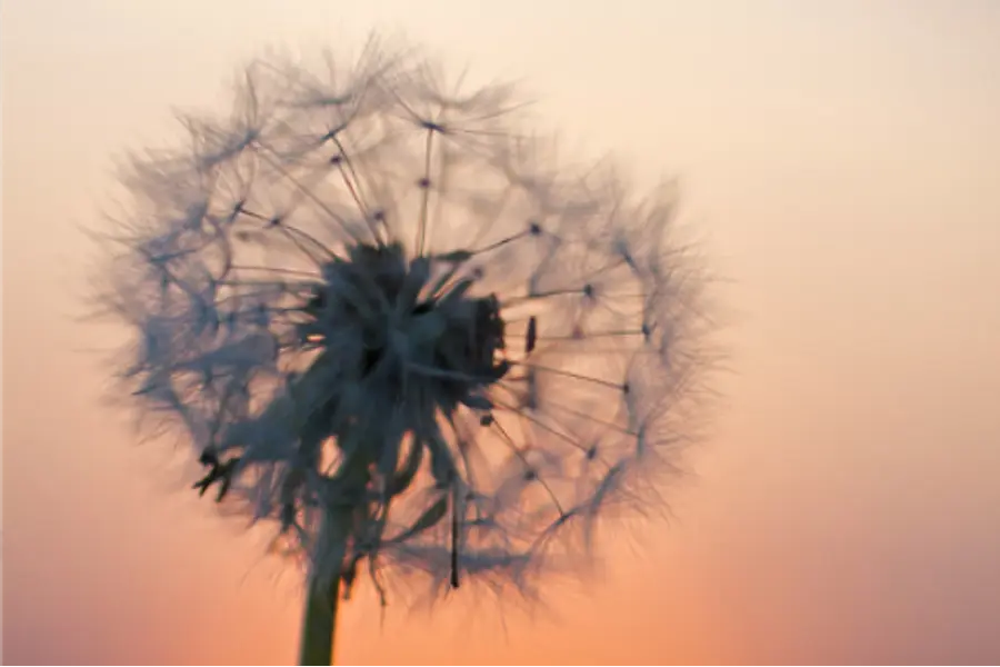 Gelassen und stressresilient im Job