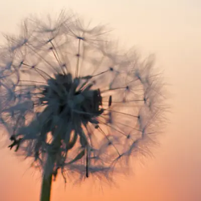 Gelassen und stressresilient im Job