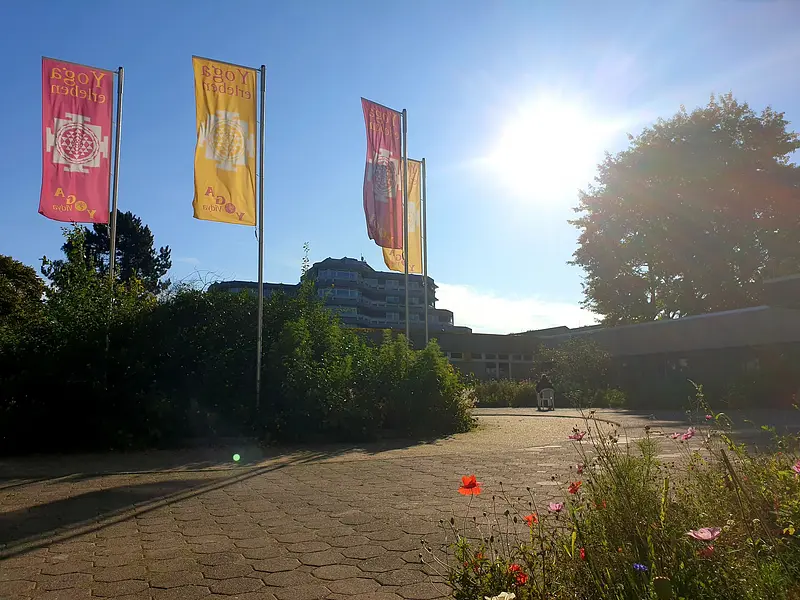 71695807_2381838085198453_654512316800303104_o