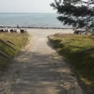 Yoga, Achtsamkeit und Stressbewältigung, Rückengesundheit direkt an der Ostsee – Arkona Strandhotel in BInz