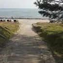 Yoga, Achtsamkeit und Stressbewältigung, Rückengesundheit direkt an der Ostsee – Arkona Strandhotel in BInz