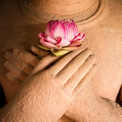 Yoga, Achtsamkeit und Stressbewältigung, Rückengesundheit – Hamburg Karolinenviertel