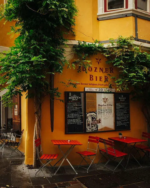 grigorii-shcheglov-vRwVjEqaPYU-unsplash