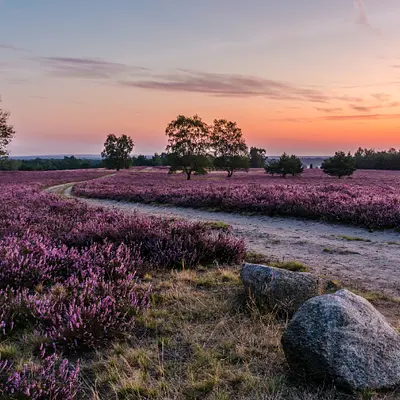 Yoga, Atem & Meditation im Naturhotel (Lüneburger Heide)