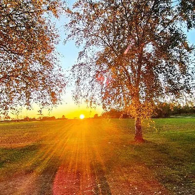 Gesundheitsprävention und Resilienztraining im Kontext der ganzheitlichen Wahrnehmung