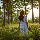 Bildungsurlaub „Entspannt Denken im Wald“: Atmen – Philosophieren – Waldbaden