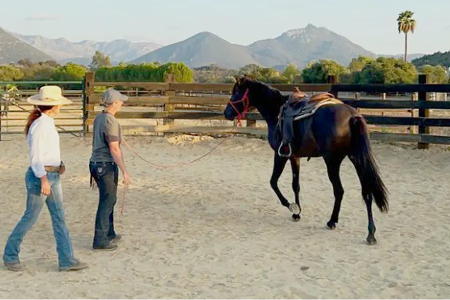 Spanisch & Horsemanship (Bildungsurlaub) 2026