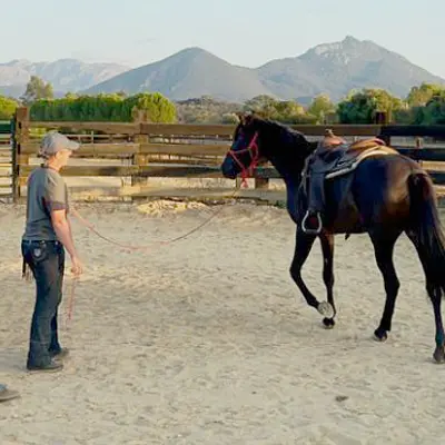 Spanisch & Horsemanship (Bildungsurlaub) 2026