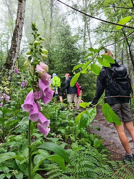 Wandern und Antistresstrainer*in werden in der Sächsische Schweiz (Margaretenhof) #WANSSMAST