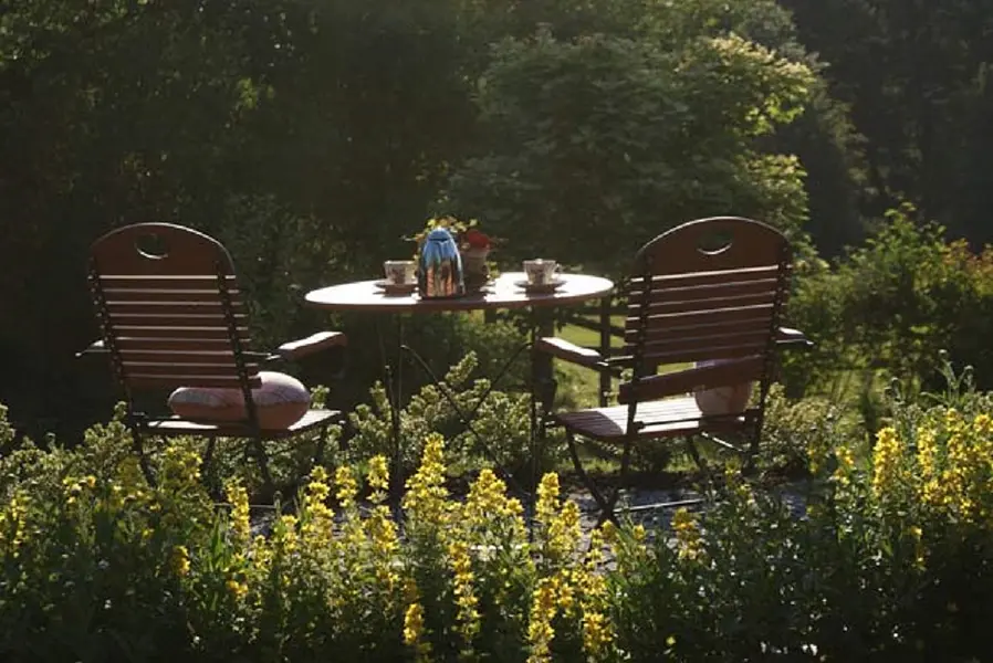 Herzkohärenz und Waldmedizin - Ein starkes Bündnis für Resilienz