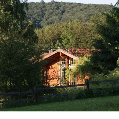 Herzkohärenz und Waldmedizin - Ein starkes Bündnis für Resilienz