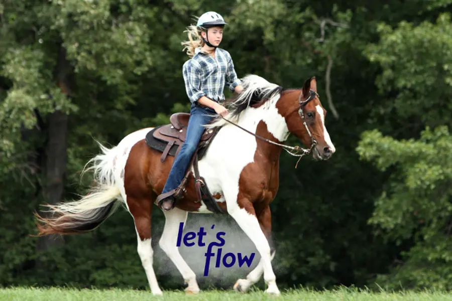 Ausbildung zum/ zur Pferdesporttrainer*in mit Let's Flow
