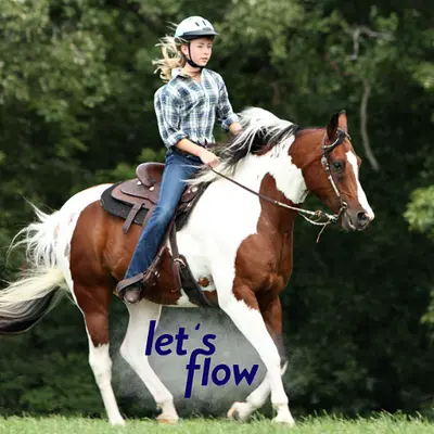 Ausbildung zum/ zur Pferdesporttrainer*in mit Let's Flow