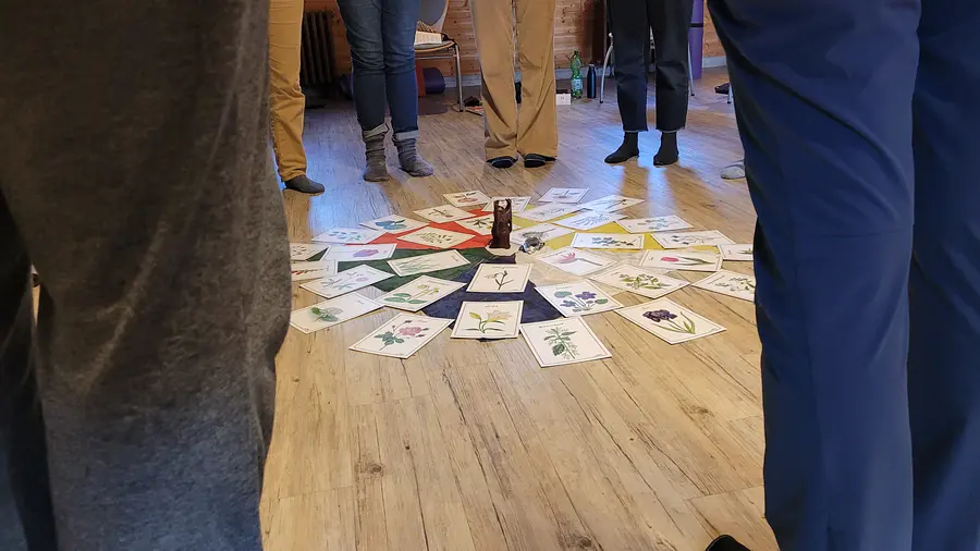 Resilienz stärken in Beruf und Alltag mit Qigong und achtsames Naturerleben