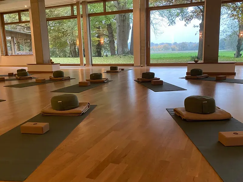 Zurück zu Dir! Stress abbauen und Resilienz entwickeln  mit Yoga und Achtsamkeit.