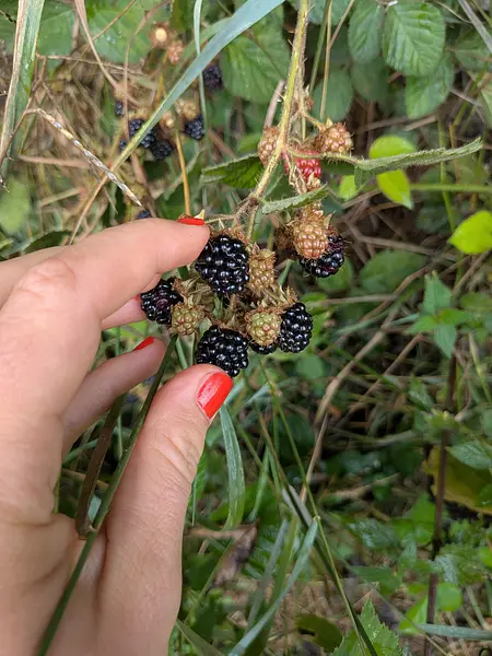 PXL_20250727_121803934