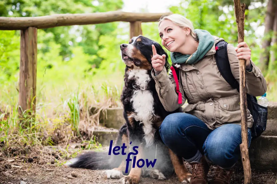 Wandern und Resilienz stärken in Bad Berleburg #WANBBBBYR