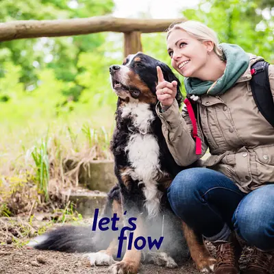 Wandern und Resilienz stärken in Bad Berleburg #WANBBBBYR