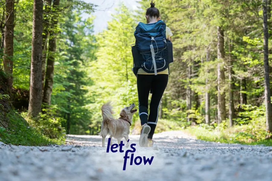 Wandern und Ressourcen bewusst nutzen in Bad Berleburg #WANBBBGIA