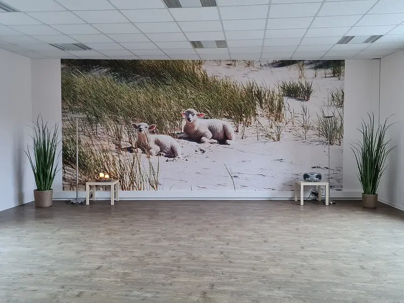 Stressbewältigung durch Achtsamkeitsschulung -MBSR