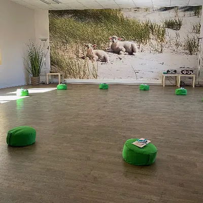 Stressbewältigung durch Achtsamkeitsschulung -MBSR