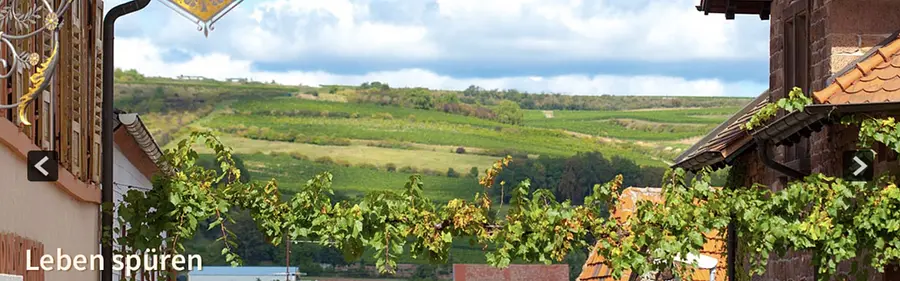 Pfalz Romantik - Work-Life-Design in der mediterranen Pfalz Anfang Oktober