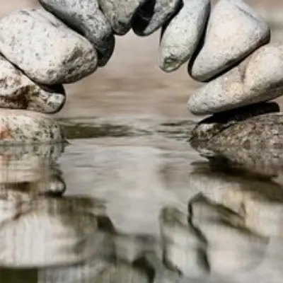 Gewaltfreie Kommunikation - Respektvoll Tacheles reden, wertschätzend zuhören und spürbar Klärung erleben - im beruflichen und gesellschaftlichen Kontext