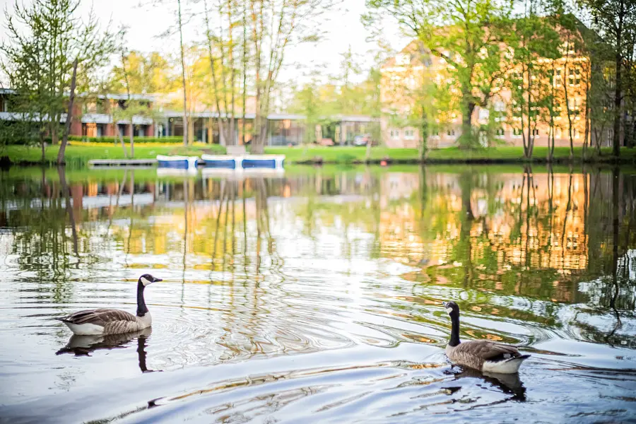 Stark im Stress – Resilienz und Entspannung für den Berufsalltag