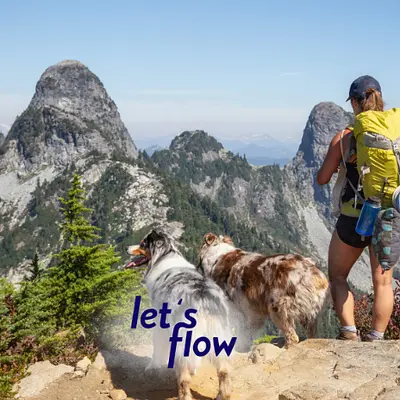 Wandern und Kommunikationsfähigkeit stärken in der Schorfheide #WANSFHSIB