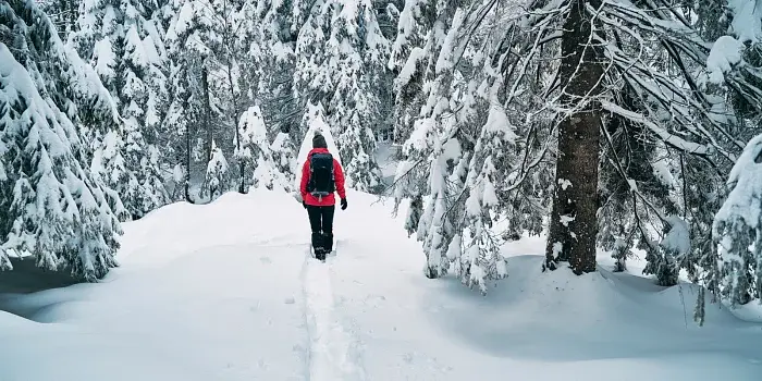 Website innen  (700 x 350 px)