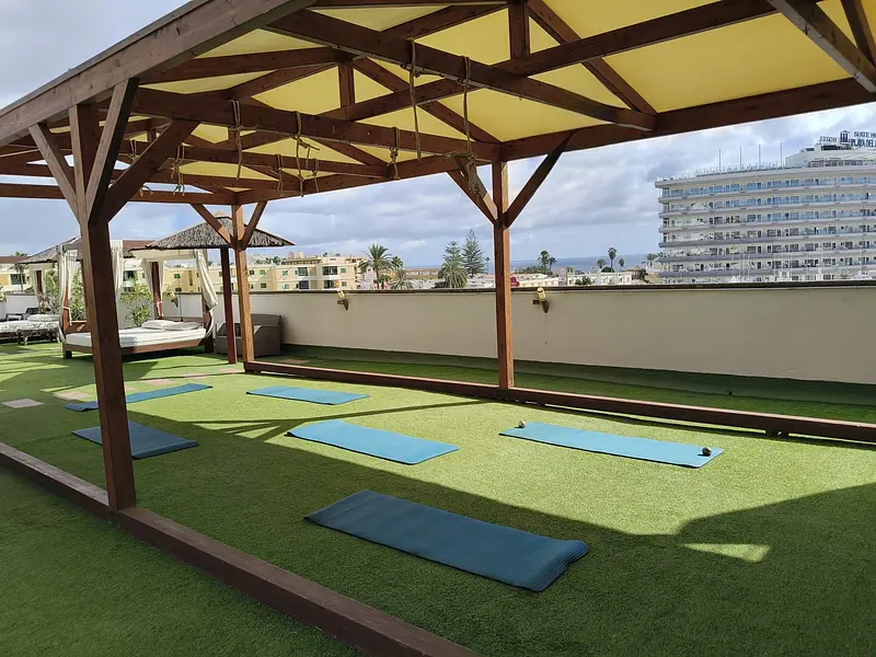 WhatsApp Image 2026-02-10 at 19.28.06