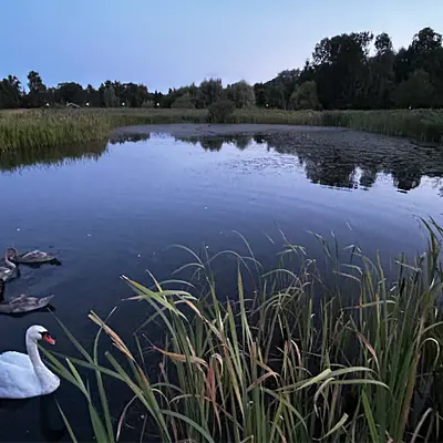 Dänisch A2 in Kopenhagen