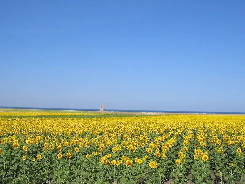 5262670235_e3b5d775b5_b