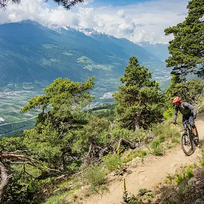 Mountainbiken im Vinschgau und Teamwork im Berufsalltag stärken