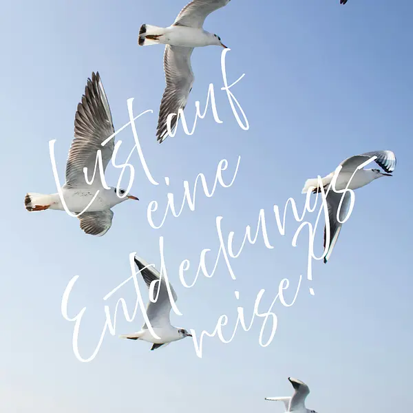 Urbaner Bildungsurluab: Ganzheitlich leben, ganzheitlich gesund: Stressregulation, Resilienz und innere Balance für Beruf & Alltag