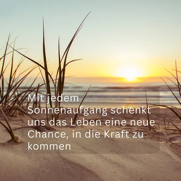 Ganzheitlich leben, ganzheitlich gesund: Stressregulation, Resilienz und innere Balance für Beruf & Alltag