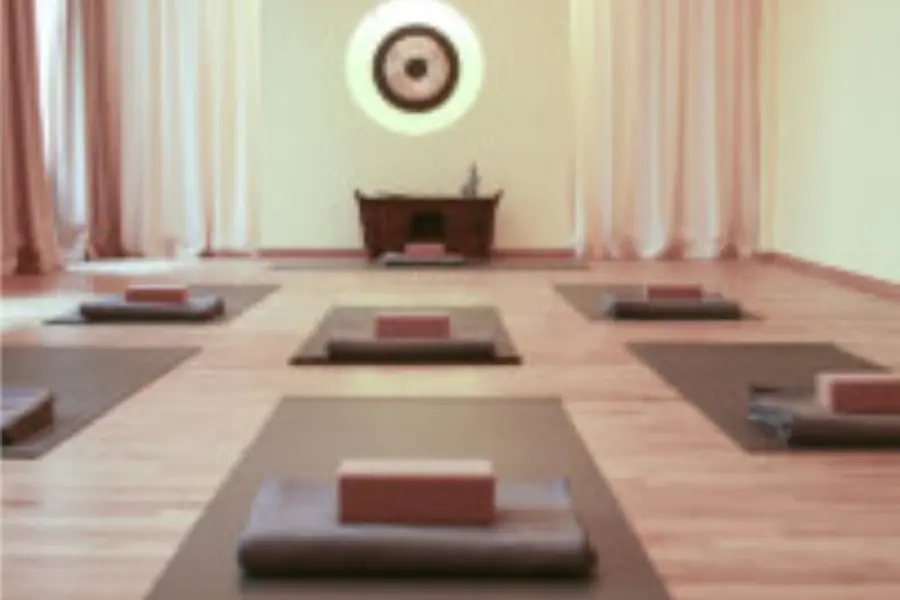 Yoga, Achtsamkeit und Stressbewältigung, Rückengesundheit – Berlin Charlottenburg