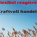 Flexibel reagieren – kraftvoll handeln Stressresilienz und Gelassenheit für Berufsalltag und gesellschaftliches Leben