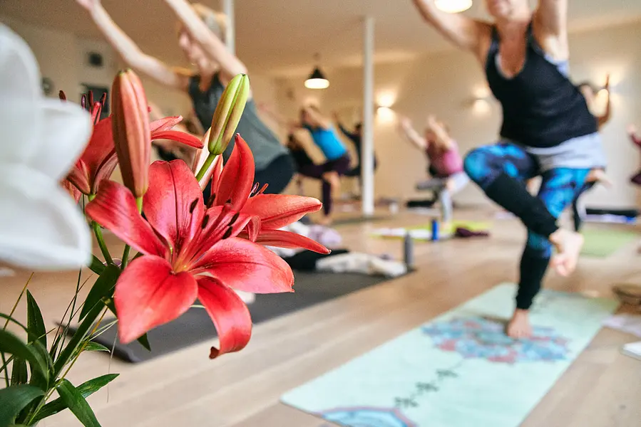 Faszien Yoga: eine heilsame Praxis für Körper und Geist