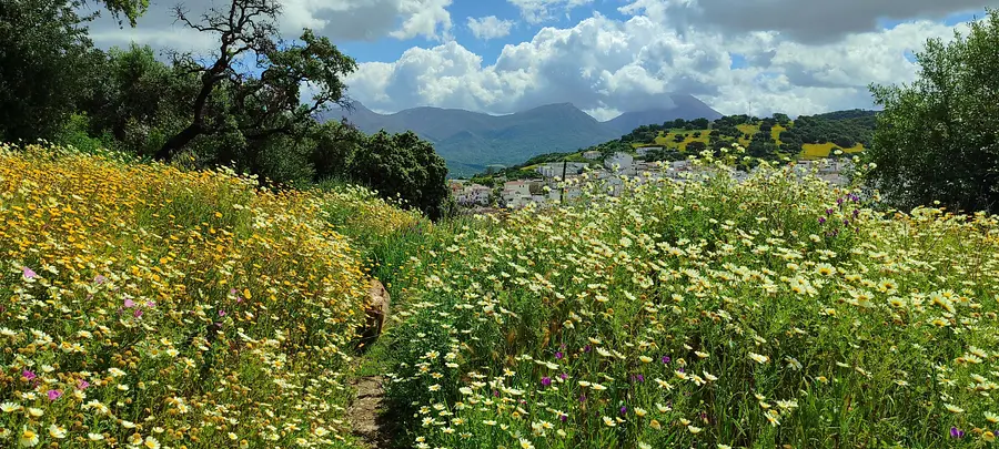 bildungsurlaub-spanien-pradodelrey-im-fruejahr