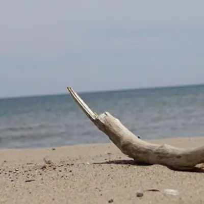 SIX PACK für den Berufsalltag – Kompetenztraining für Frauen