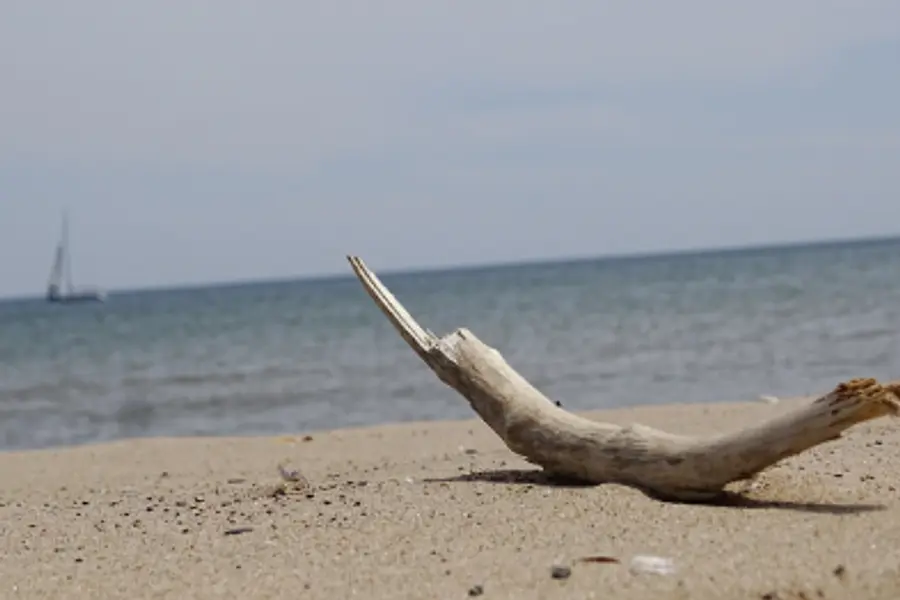 SIX PACK für den Berufsalltag – Kompetenztraining für Frauen