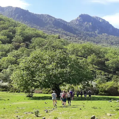Spanisch-Superintensivkurs für alle Niveaus + Wandern im Naturpark Sierra de Grazalema in Andalusien 2 Wochen 2026